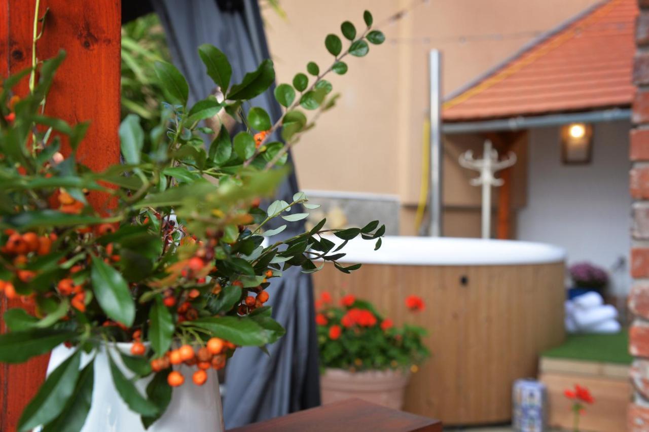 Janicsar Garden Apartman Eger Zewnętrze zdjęcie