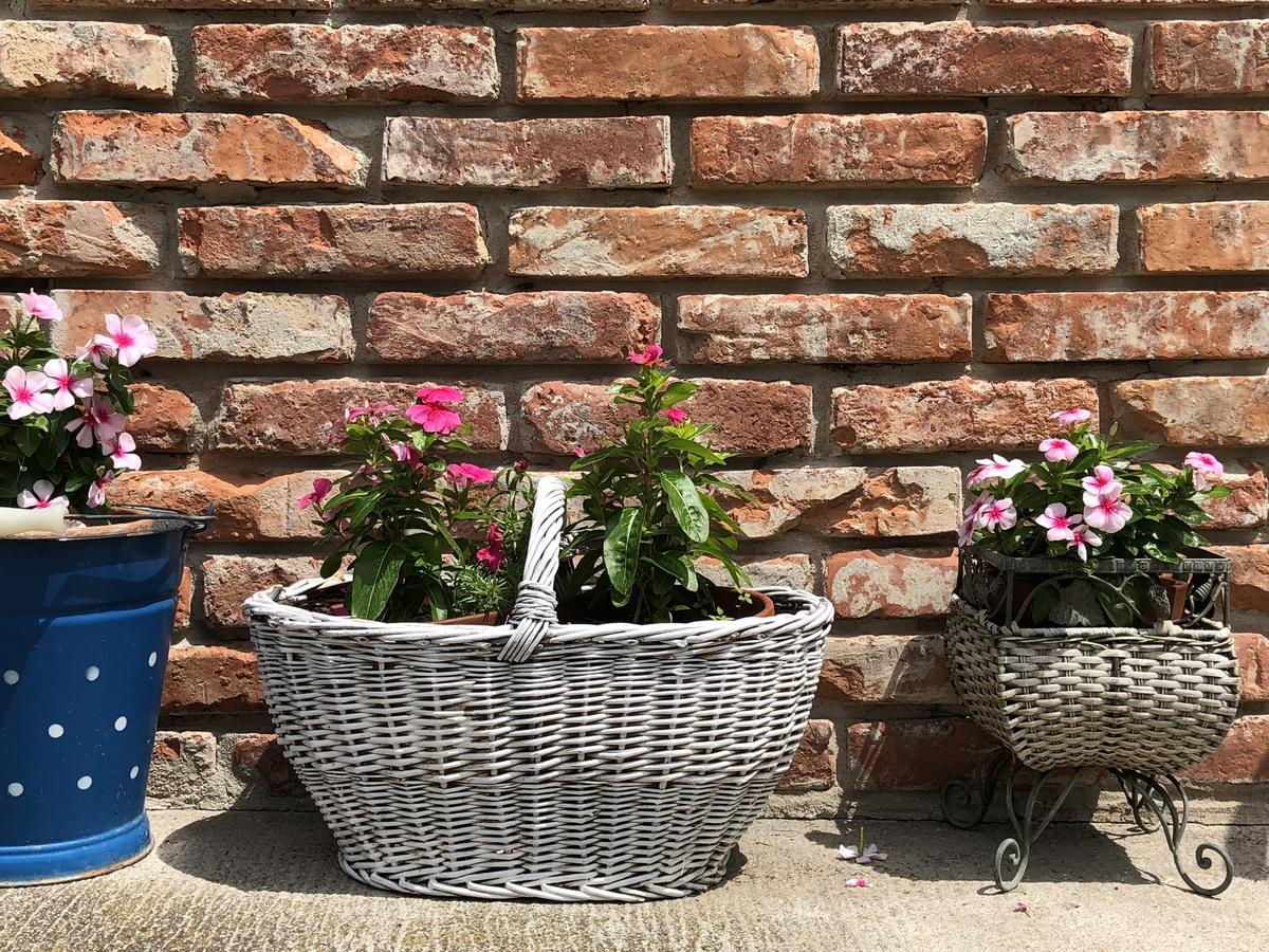 Janicsar Garden Apartman Eger Zewnętrze zdjęcie