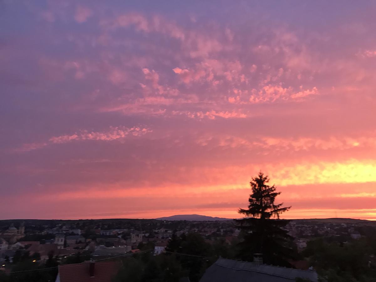Janicsar Garden Apartman Eger Zewnętrze zdjęcie