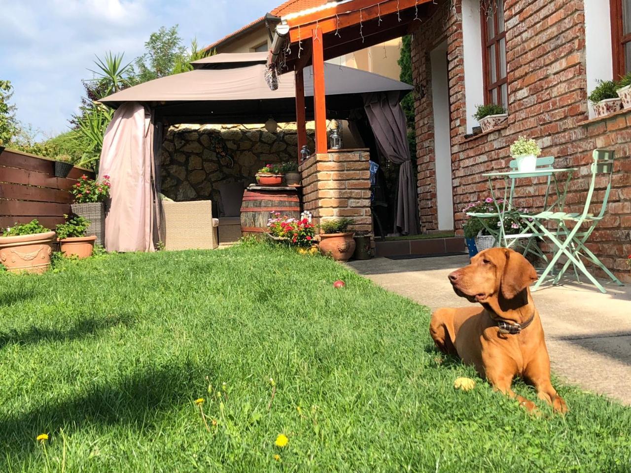 Janicsar Garden Apartman Eger Zewnętrze zdjęcie