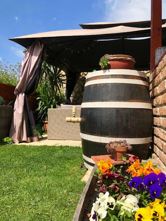 Janicsar Garden Apartman Eger Zewnętrze zdjęcie