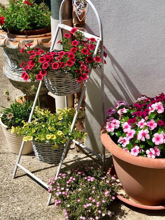 Janicsar Garden Apartman Eger Zewnętrze zdjęcie
