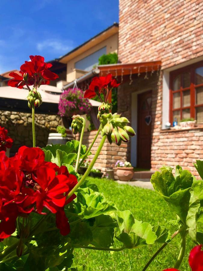 Janicsar Garden Apartman Eger Zewnętrze zdjęcie
