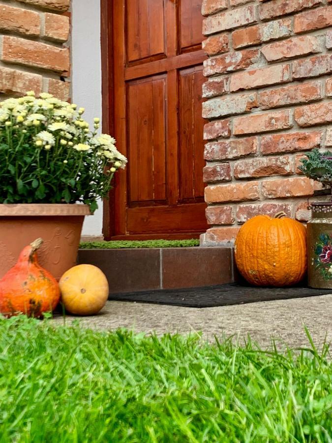 Janicsar Garden Apartman Eger Zewnętrze zdjęcie